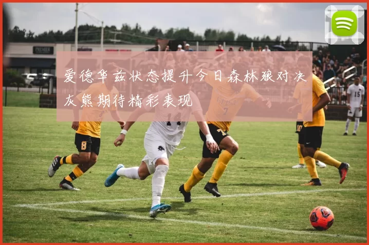 爱德华兹状态提升今日森林狼对决灰熊期待精彩表现