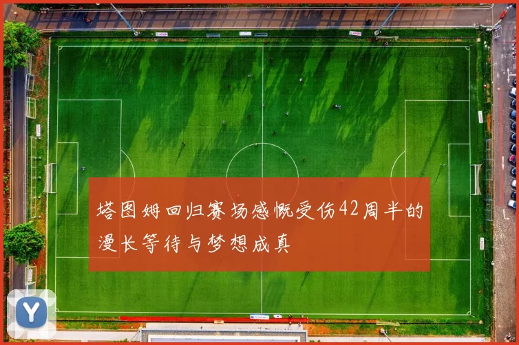 塔图姆回归赛场感慨受伤42周半的漫长等待与梦想成真
